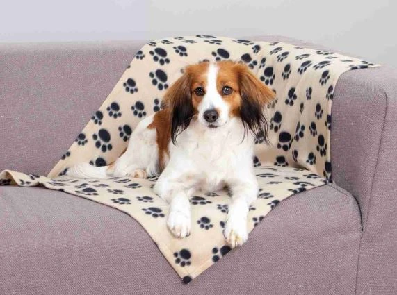 TRIXIE Hundedecke Beany 100x70cm In Beige 2 TRIXIE Hundedecke Beany 100x70cm In Beige – Bild 2