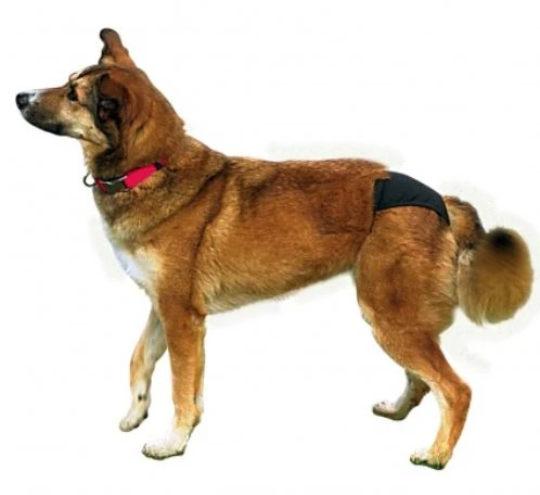 TRIXIE Luxus Schutzhöschen 40-49cm Schwarz 2 TRIXIE Luxus Schutzhöschen 40-49cm Schwarz – Bild 2