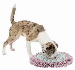 TRIXIE Schnüffelteppich 38cm -Trixie Haustier Günstiges Geschäft 26994a3ba868585fe8a5951c751b1e56 teppich2