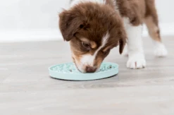 TRIXIE Junior Lick’n'Snack Schleckplatte 15cm -Trixie Haustier Günstiges Geschäft 2eedc12e3524afb63238ccb9413d90c1 trixie licknsnack3