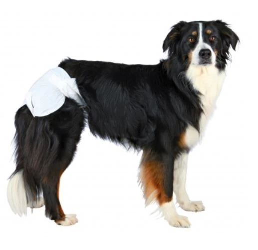 TRIXIE Hundewindeln Gr. L 2 TRIXIE Hundewindeln Gr. L – Bild 2