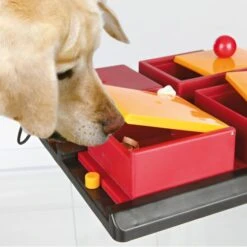 Trixie Dog Activity Poker Box, 31x10x31 Cm -Trixie Haustier Günstiges Geschäft 3966c189547dbcf54419499a771e8a9d