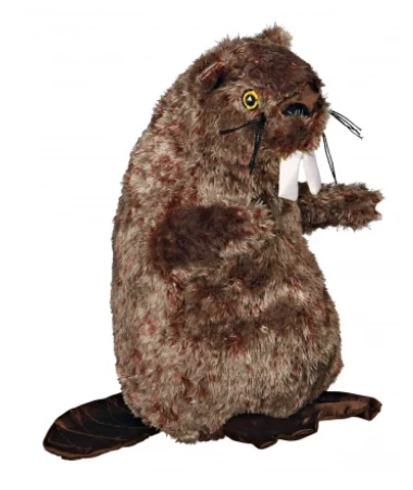 TRIXIE Hundespielzeug Biber 40cm Plüsch 1 TRIXIE Hundespielzeug Biber 40cm Plüsch