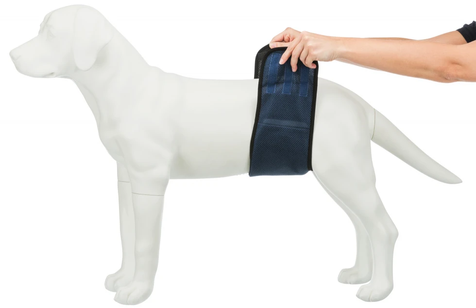 TRIXIE Rüdenbinde Größe S 7 TRIXIE Rüdenbinde Größe S – Bild 7