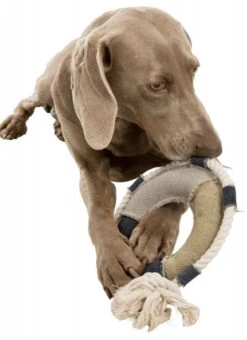 TRIXIE Be Nordic Hundespielzeug Rettungsring 29cm -Trixie Haustier Günstiges Geschäft 4eb69ea03decbd104c89b2b52c29e4da trixie rettungsring2