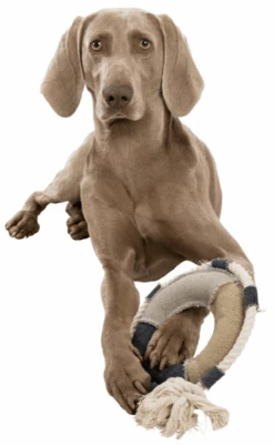 TRIXIE Be Nordic Hundespielzeug Rettungsring 29cm -Trixie Haustier Günstiges Geschäft 4eb69ea03decbd104c89b2b52c29e4da trixie rettungsring5