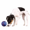 TRIXIE Hundespielzeug Snack Ball 14cm
