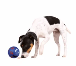 TRIXIE Hundespielzeug Snack Ball 14cm