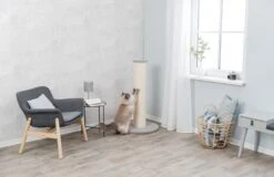 TRIXIE Kratzstamm XXL 106cm In Taupe -Trixie Haustier Günstiges Geschäft 5ffc676ee405427867acf5b7249782d1 stamm4