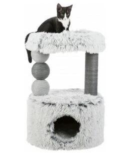 TRIXIE Kratzbaum "Harvey" 73cm In Grau -Trixie Haustier Günstiges Geschäft 654546c0f7d54fb159963d84e71c8b0e harvey3