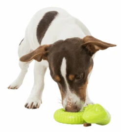 TRIXIE Hundespielzeug Snack-Snake 18cm -Trixie Haustier Günstiges Geschäft 869b8010021f2dacc855c8c3b06f302c snacksnake1