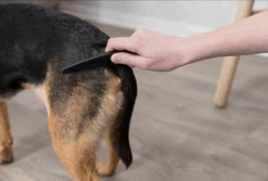 TRIXIE Floh- Und Staubkamm 15cm -Trixie Haustier Günstiges Geschäft 8f7b02438e0e0d40de42546e367284c8 flohustaubkamm2