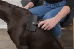 TRIXIE Softbürste 10x17cm -Trixie Haustier Günstiges Geschäft 9360c5fbe341687f44d224f79bd18293 softbuerste1