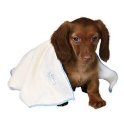 Trixie Welpen-Set, Decke, Spielzeug Und Handtuch -Trixie Haustier Günstiges Geschäft 95c19458862bda961184da49929aacbd