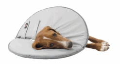 TRIXIE Schutzkragen Für Hunde Größe M