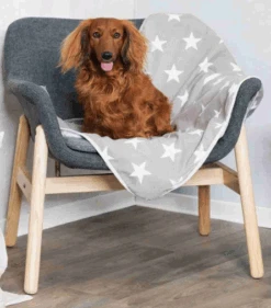 TRIXIE Decke "Stars" 100x70cm In Taupe Mit Weißen Sternen