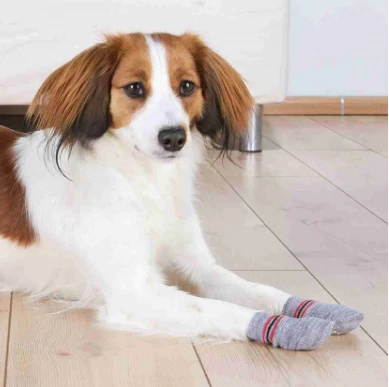 TRIXIE Hundesocken Rutschfest Größe XS-S 5 TRIXIE Hundesocken Rutschfest Größe XS-S – Bild 5