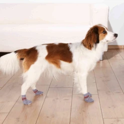TRIXIE Hundesocken Rutschfest Größe XS-S 8 TRIXIE Hundesocken Rutschfest Größe XS-S -Trixie Haustier Günstiges Geschäft a1bf7ca0ee57d1552c8c5851621b66c9 hundesockenxs2a