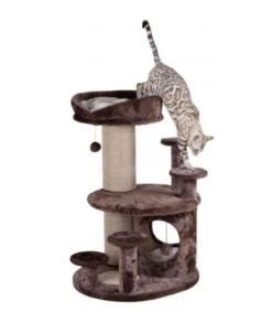 TRIXIE Kratzbaum Für Senioren 96cm -Trixie Haustier Günstiges Geschäft a43e0626704faa95d7360362f9b874ec tremil