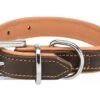 Trixie Active Comfort Hundehalsband Aus Leder