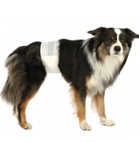 TRIXIE Rüdenwindeln 30-46cm, 12 Stück 2 TRIXIE Rüdenwindeln 30-46cm, 12 Stück – Bild 2