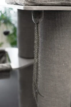 TRIXIE Kratzbaum XXL Amadeus 163cm In Grau -Trixie Haustier Günstiges Geschäft b7b920821c1bf7f921f36fa2cfcf0d5f amadeus2