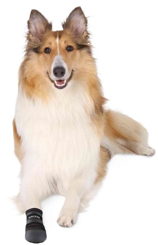 TRIXIE Pfotenschutz Walker Care Für Hunde Größe L 1 TRIXIE Pfotenschutz Walker Care Für Hunde Größe L