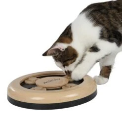 Trixie Cat Activity Fun Circle, Durchmesser 25 Cm