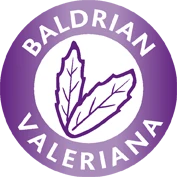 TRIXIE Katzenspielzeug Baldrian Kissen 7x9cm 5 TRIXIE Katzenspielzeug Baldrian Kissen 7x9cm – Bild 5