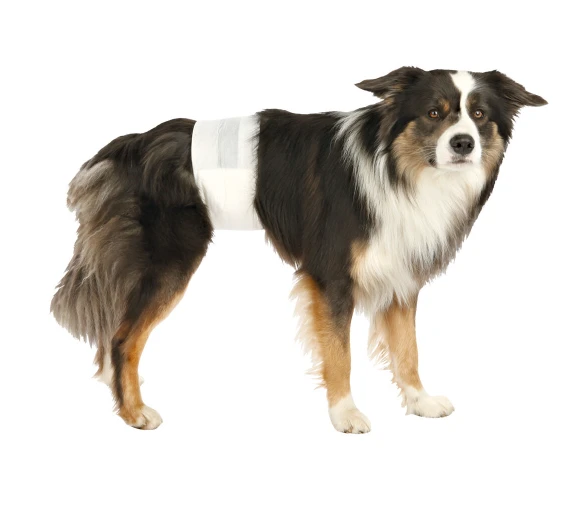 TRIXIE Rüdenwindeln 60-80cm 12 Stück 2 TRIXIE Rüdenwindeln 60-80cm 12 Stück – Bild 2