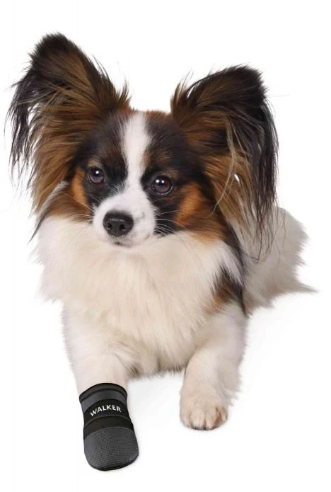 TRIXIE Pfotenschutz Walker Care Für Hunde Größe S 2 TRIXIE Pfotenschutz Walker Care Für Hunde Größe S – Bild 2