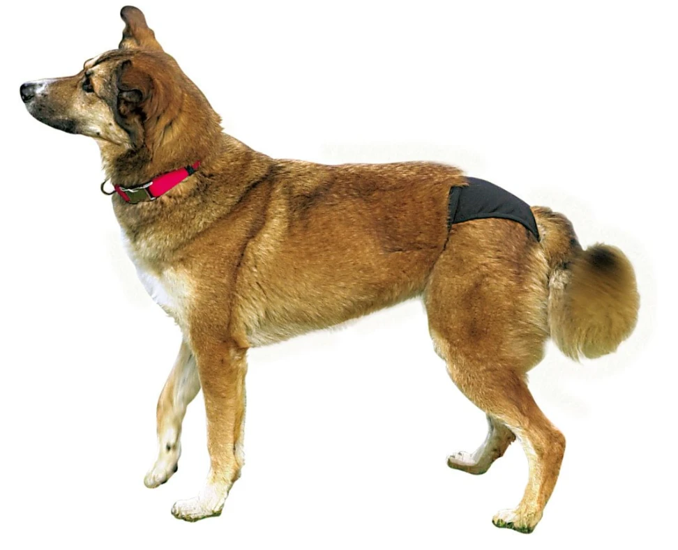 TRIXIE Luxus Schutzhöschen In Schwarz S 2 TRIXIE Luxus Schutzhöschen In Schwarz S – Bild 2