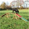 TRIXIE Dog Activity Agility Steg 456x64x30cm