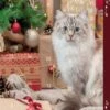 TRIXIE Xmas Adventskalender Für Katzen