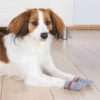 TRIXIE Hundesocken Rutschfest Größe S-M