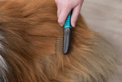 TRIXIE Fell-Entfilzer 18cm 6 TRIXIE Fell-Entfilzer 18cm -Trixie Haustier Günstiges Geschäft f33d5bfc1e412b8836923835861af90a fellentfilzer2