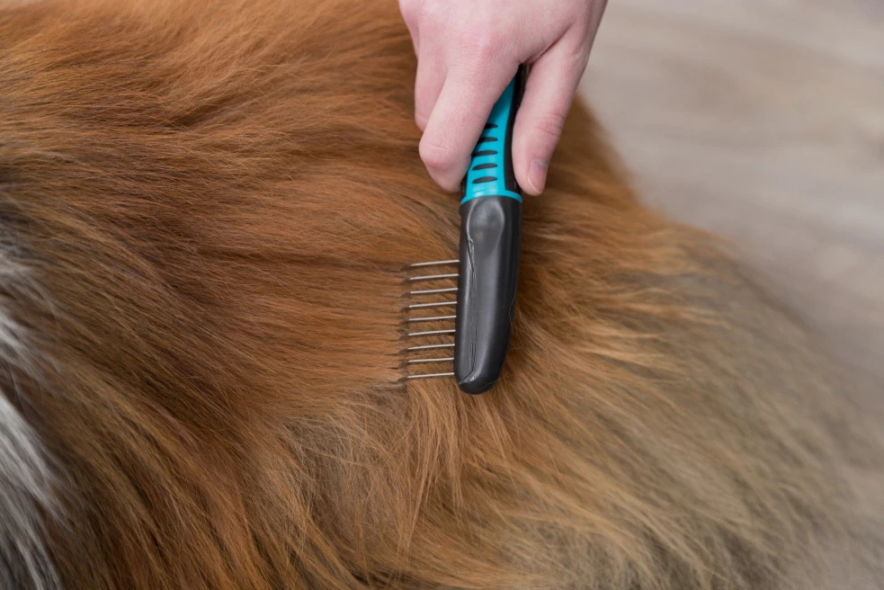 TRIXIE Fell-Entfilzer 18cm 3 TRIXIE Fell-Entfilzer 18cm – Bild 3