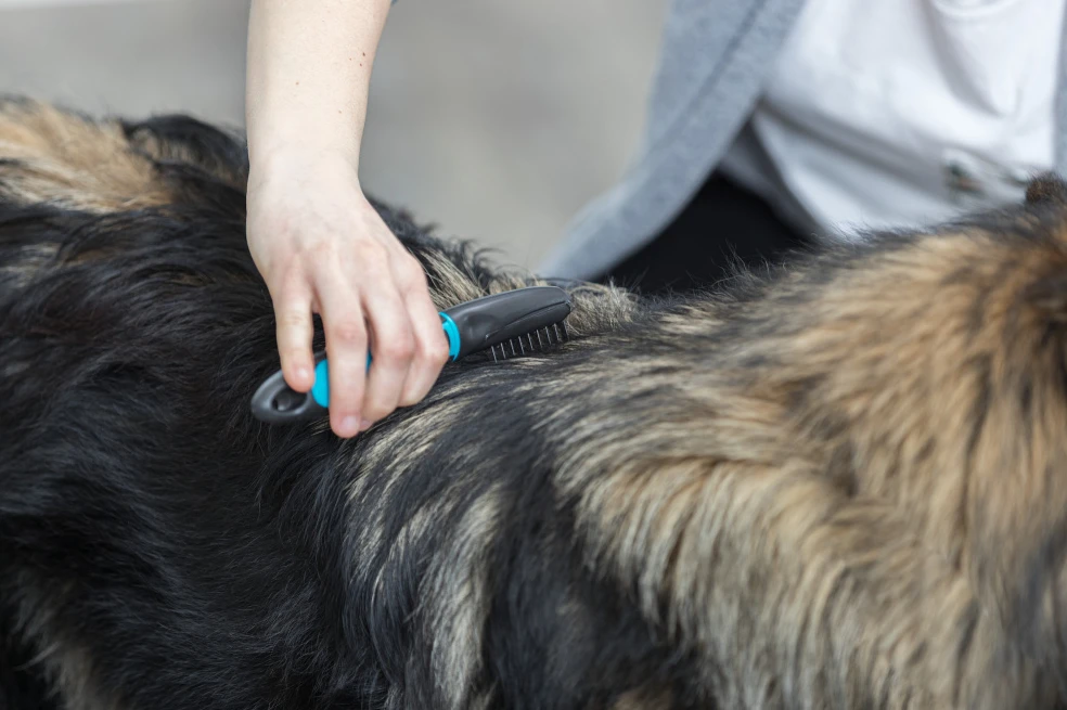 TRIXIE Fell-Entfilzer 18cm 4 TRIXIE Fell-Entfilzer 18cm – Bild 4