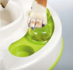 TRIXIE Activity Slide & Feed 30×27cm -Trixie Haustier Günstiges Geschäft f5fac63d58c58776ace28a030b2ed1ba trixie slideandfeet2