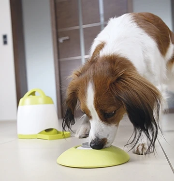 TRIXIE Dog Activity Memory Trainer Strategiespiel 2 TRIXIE Dog Activity Memory Trainer Strategiespiel – Bild 2