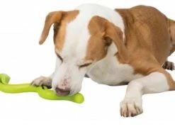 TRIXIE Hundespielzeug Snack Snake 42cm 5 TRIXIE Hundespielzeug Snack Snake 42cm -Trixie Haustier Günstiges Geschäft fe1b6634a8effc36af7cfc8c59fccecd snacks3