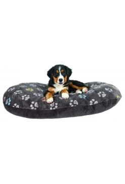 Trixie Kissesn Jimmy Rund