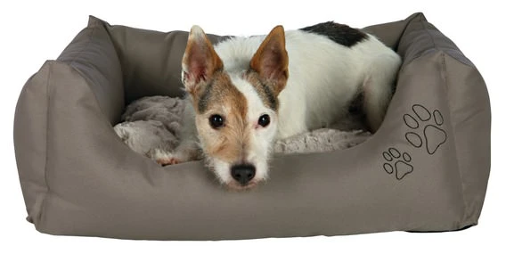 Trixie Bett Drago Cosy 1 Trixie Bett Drago Cosy