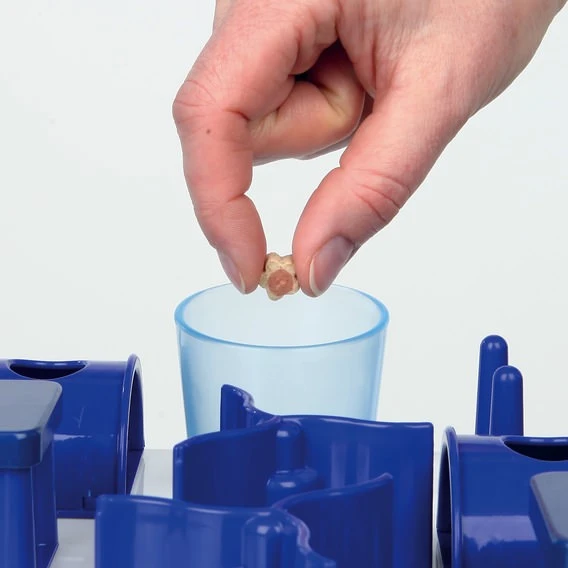 Trixie Cat Activity Playground 39 X 24 Cm 2 Trixie Cat Activity Playground 39 X 24 Cm – Bild 2