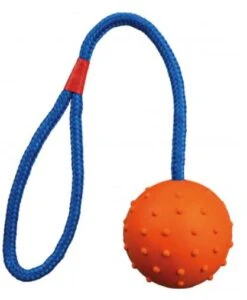 TRIXIE Hundespielzeug Ball 6cm Am Seil